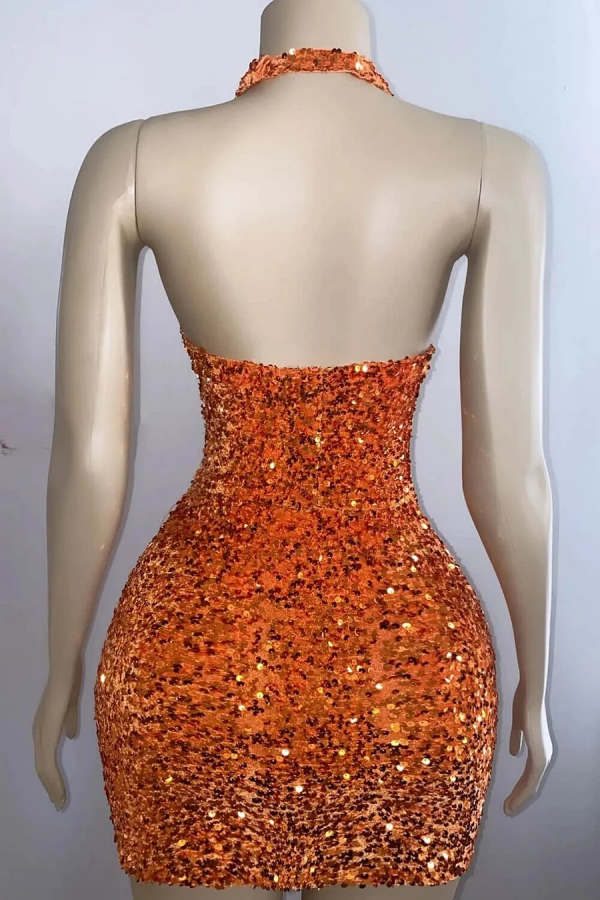 Charmantes Neckholder-Abendkleid mit V-Ausschnitt und rückenfreiem Pailletten-Funkeln fg6197
