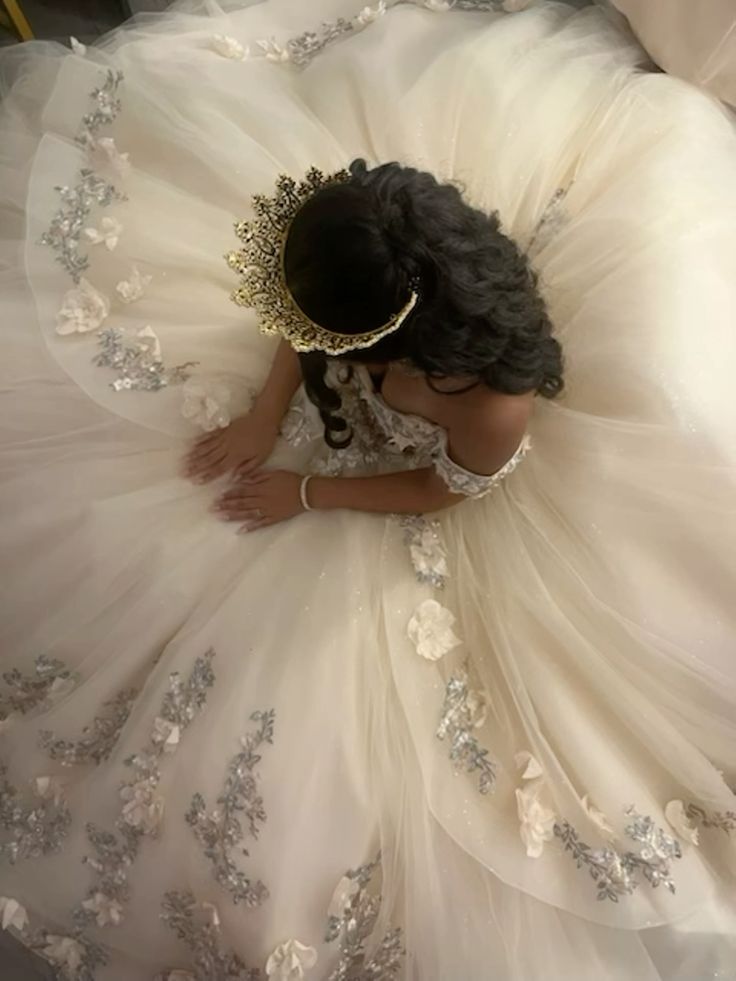 Champagne Quince Dress with Flowers Sweet 16 Dresses Off the Shoulder Ball Gown fg8019