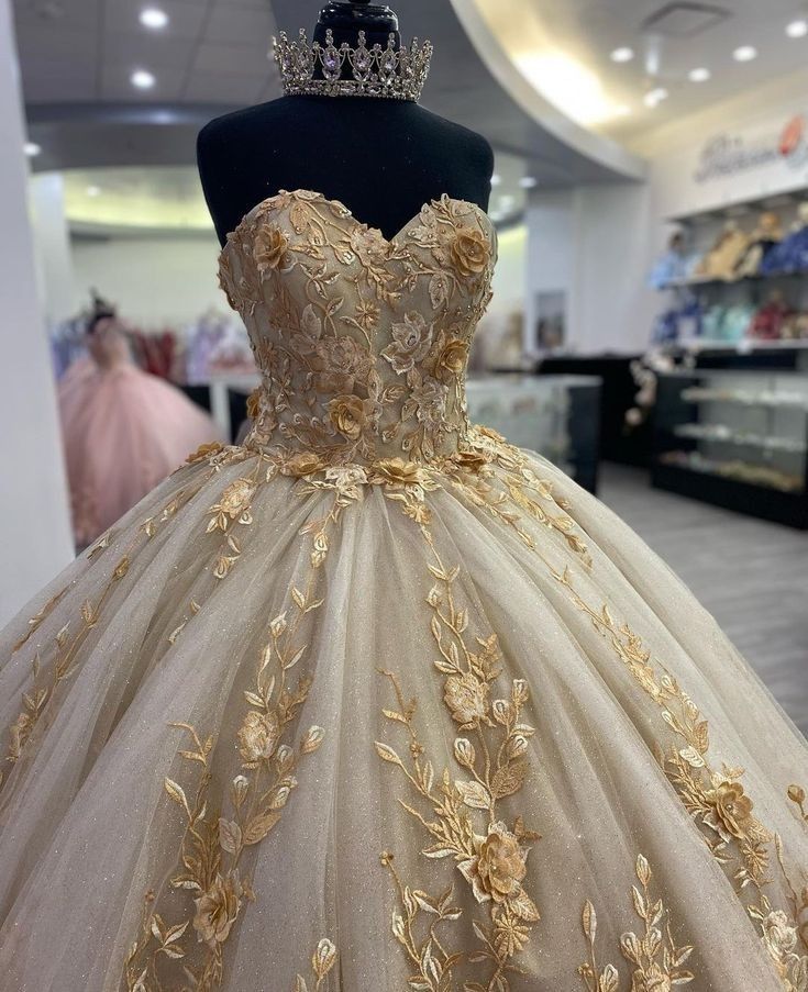 Quinceanera Dress Prom Ball Gowns Applique Corset Back Prom Sweet 16 Dress fg4078