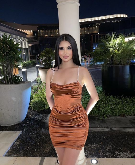 Sheath Brown Party Dress Lady Fashion Homecoming Gown fg3706