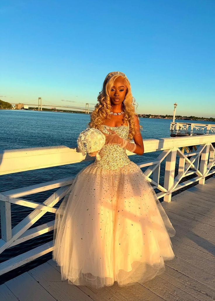 Ball Gown Tulle Princess Dress Long Prom Dress Evening Dress Birthday Dress fg8418