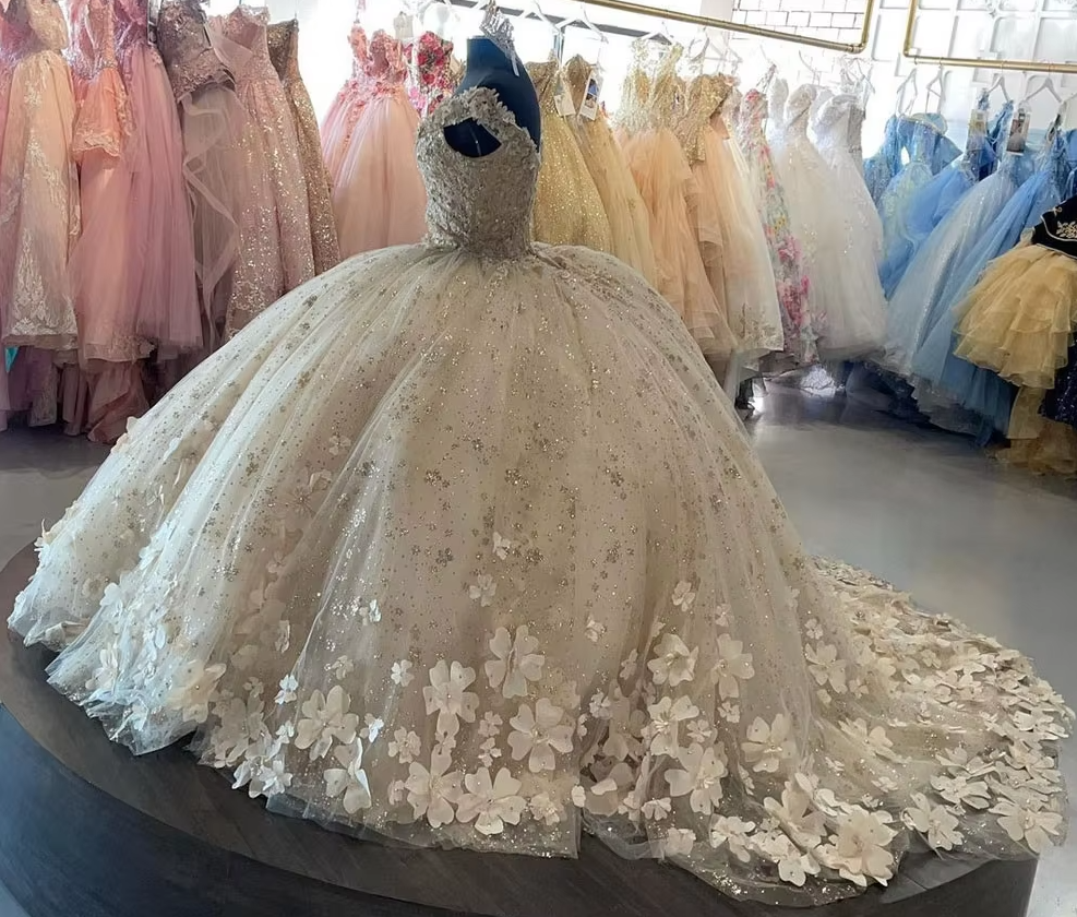 Sweet 16 Quinceanera Dresses Floral Applique Tulle Ball Gown fg6823