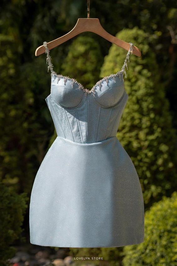 Blue Short Party Dress Homecoming Dresses fg1298