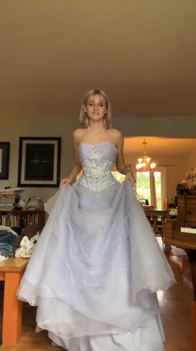 A Line Strapless Party Dress Long Evening Dress Prom Dresses    fg7814