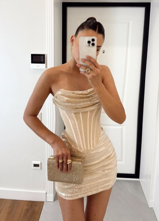 Light Champagne Sheath Strapless Corset Tulle Sequin Short Homecoming Dress Cocktail Dress  fg8292