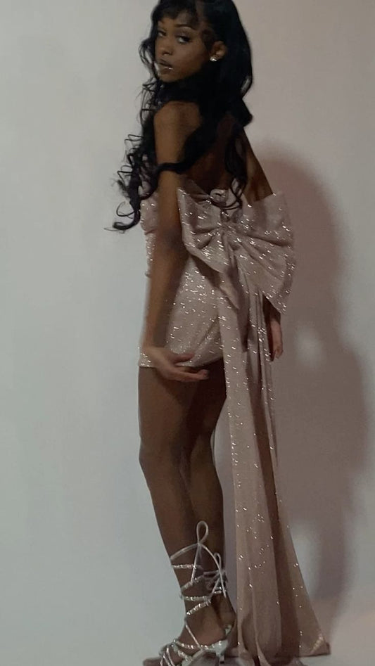 Sparkly Homecoming Dress Short Evening Dress Cocktail Dresses Short Party Dress With Bow   fg7969