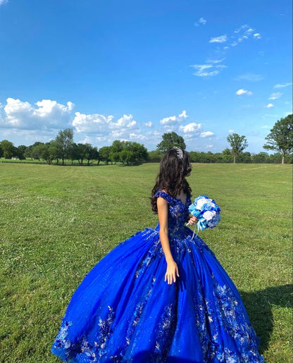Royal blue quinceañera dress Ball Gown Evening Dress      fg3938