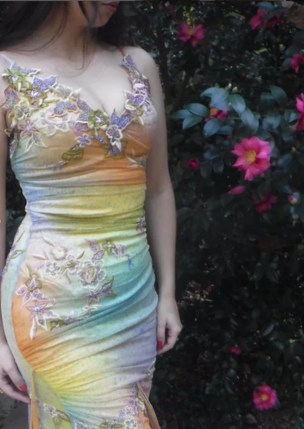 Pretty Vintage Mermaid V Neck Appliques Chiffon Prom Dresses Evening Dresses   fg8552