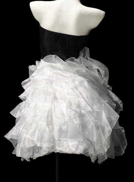 Strapless Rhinestone Waist Two Tone Ruffled Tulle Short Homecoming Dress fg8877