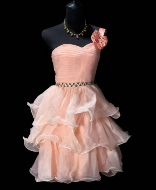 One Shoulder Floral Rhinestone Ruffled Organza Short Homecoming Dress fg8887