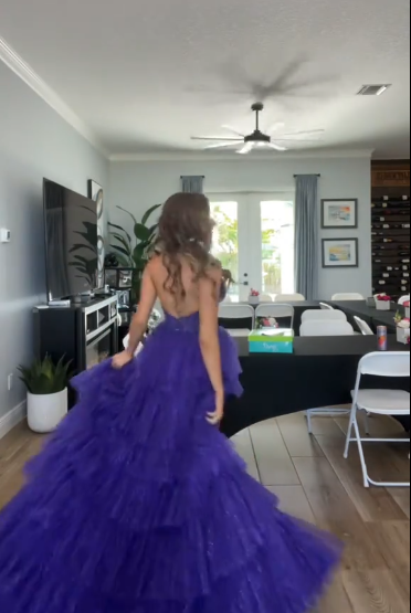 V Neck Purple Tiered Tulle Graduation Dress Evening Dress Prom Party Dress fg8404